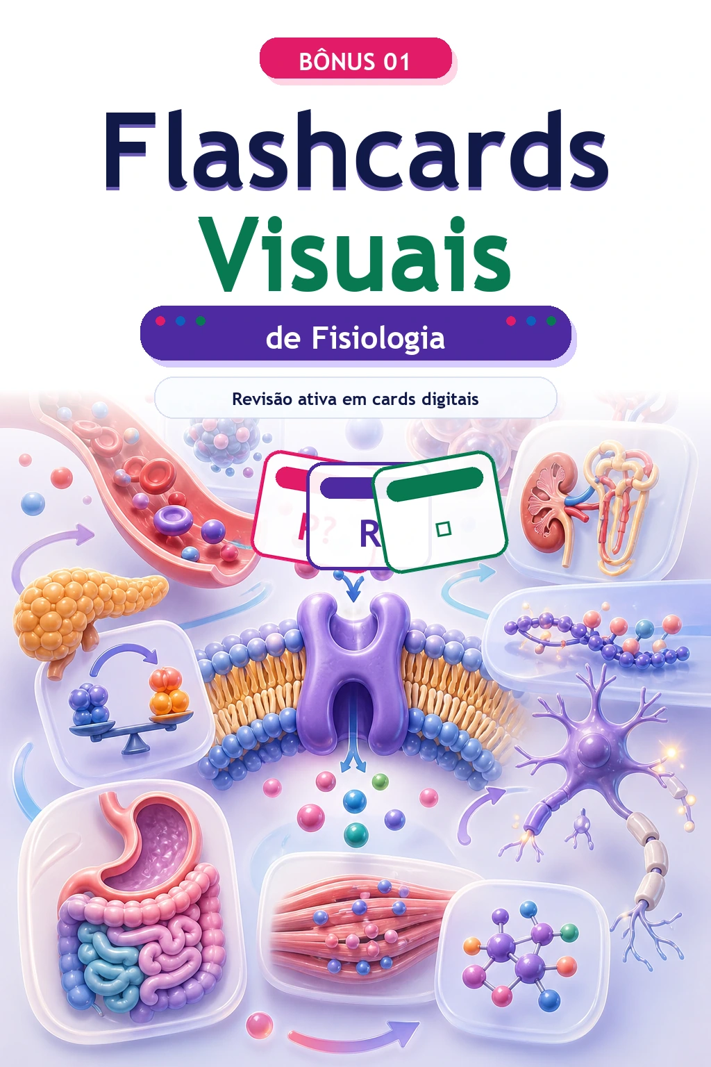 Mockup do bônus 1 - Flashcards Visuais de Fisiologia