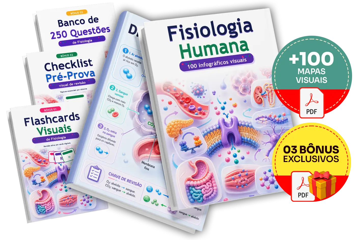 Mockup do Plano Completo