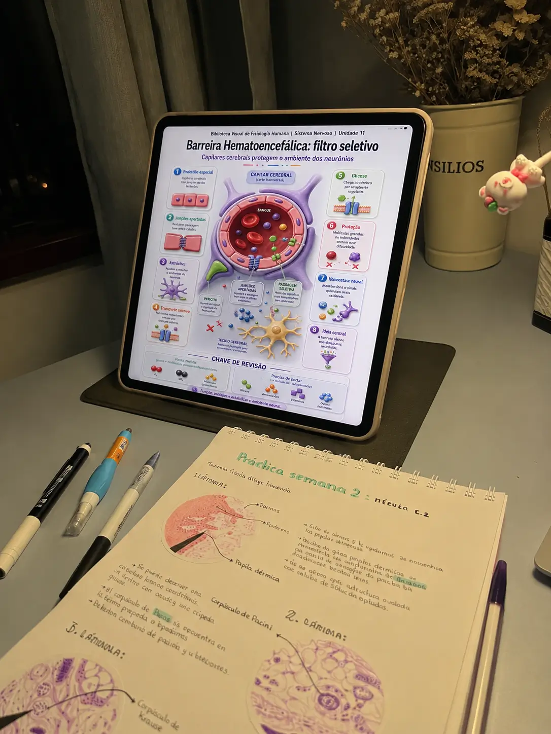Infográfico sobre barreira hematoencefálica em tablet
